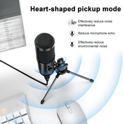 USB Microphone and HD Webcam Bundle - New Bee